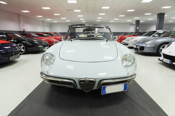 Alfa Romeo : Spider Duetto Osso di Seppia - 1967  - Asta Automobili - Associazione Nazionale - Case d'Asta italiane