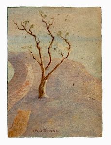 A. DRESSLER - Paese.