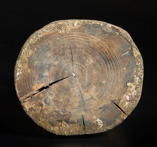 Arte Cinese : Scultura in legno raffigurante Vajradhara  Cina, XX secolo  - Asta Asta 373 | ARTE ORIENTALE E ISLAMICA - ARTE ORIENALE E WUNDERKAMMER Online - Associazione Nazionale - Case d'Asta italiane