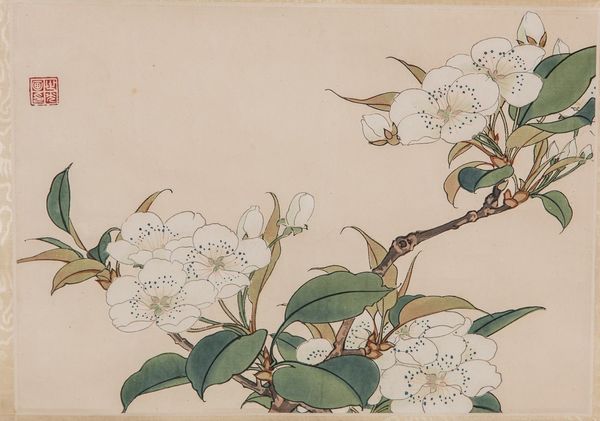 Arte Cinese : Coppia di dipinti su carta raffiguranti fiori  Cina, tardo XIX secolo  - Asta Asta 373 | ARTE ORIENTALE E ISLAMICA - ARTE ORIENALE E WUNDERKAMMER Online - Associazione Nazionale - Case d'Asta italiane