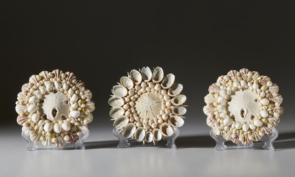 . : Tre rosoni in conchiglie  - Asta Asta 373 | ARTE ORIENTALE E ISLAMICA - ARTE ORIENALE E WUNDERKAMMER Online - Associazione Nazionale - Case d'Asta italiane