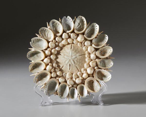 . : Tre rosoni in conchiglie  - Asta Asta 373 | ARTE ORIENTALE E ISLAMICA - ARTE ORIENALE E WUNDERKAMMER Online - Associazione Nazionale - Case d'Asta italiane