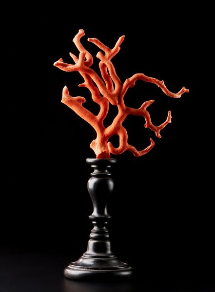 . : Ramo di corallo rosso Italia  - Asta Asta 373 | ARTE ORIENTALE E ISLAMICA - ARTE ORIENALE E WUNDERKAMMER Online - Associazione Nazionale - Case d'Asta italiane