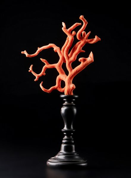 . : Ramo di corallo rosso Italia  - Asta Asta 373 | ARTE ORIENTALE E ISLAMICA - ARTE ORIENALE E WUNDERKAMMER Online - Associazione Nazionale - Case d'Asta italiane
