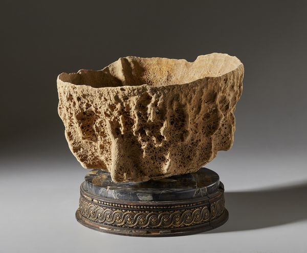 . : Spugna marina  - Asta Asta 373 | ARTE ORIENTALE E ISLAMICA - ARTE ORIENALE E WUNDERKAMMER Online - Associazione Nazionale - Case d'Asta italiane
