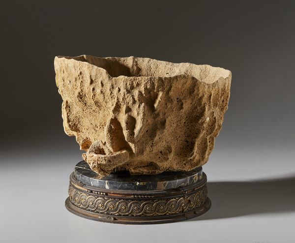 . : Spugna marina  - Asta Asta 373 | ARTE ORIENTALE E ISLAMICA - ARTE ORIENALE E WUNDERKAMMER Online - Associazione Nazionale - Case d'Asta italiane