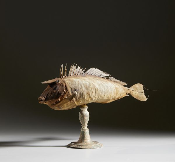 . : Pesce unicorno  - Asta Asta 373 | ARTE ORIENTALE E ISLAMICA - ARTE ORIENALE E WUNDERKAMMER Online - Associazione Nazionale - Case d'Asta italiane