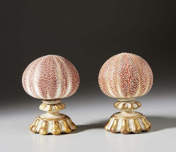 . : Coppia di ricci su basi  - Asta Asta 373 | ARTE ORIENTALE E ISLAMICA - ARTE ORIENALE E WUNDERKAMMER Online - Associazione Nazionale - Case d'Asta italiane