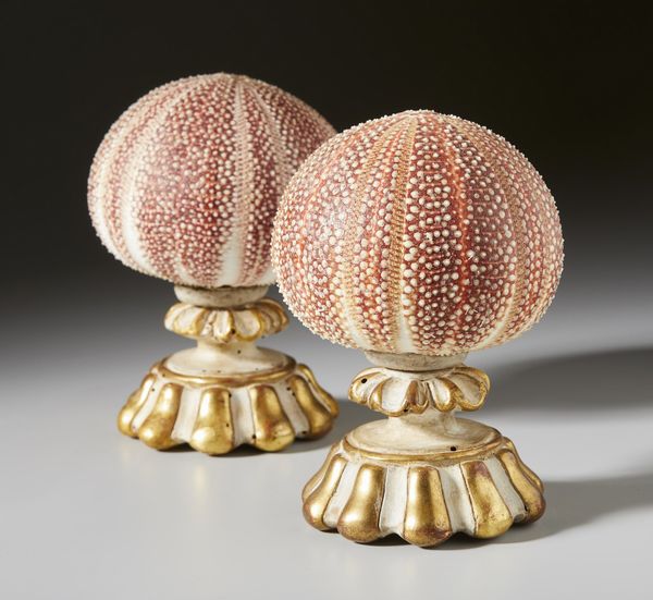 . : Coppia di ricci su basi  - Asta Asta 373 | ARTE ORIENTALE E ISLAMICA - ARTE ORIENALE E WUNDERKAMMER Online - Associazione Nazionale - Case d'Asta italiane