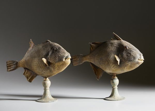 . : Coppia di pesci balestra  - Asta Asta 373 | ARTE ORIENTALE E ISLAMICA - ARTE ORIENALE E WUNDERKAMMER Online - Associazione Nazionale - Case d'Asta italiane