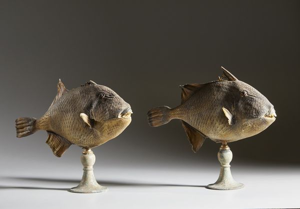 . : Coppia di pesci balestra  - Asta Asta 373 | ARTE ORIENTALE E ISLAMICA - ARTE ORIENALE E WUNDERKAMMER Online - Associazione Nazionale - Case d'Asta italiane