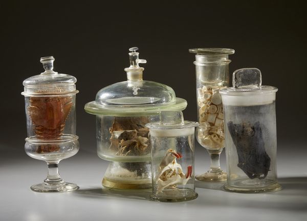 . : Cinque vasi contenenti reperti anatomici  - Asta Asta 373 | ARTE ORIENTALE E ISLAMICA - ARTE ORIENALE E WUNDERKAMMER Online - Associazione Nazionale - Case d'Asta italiane