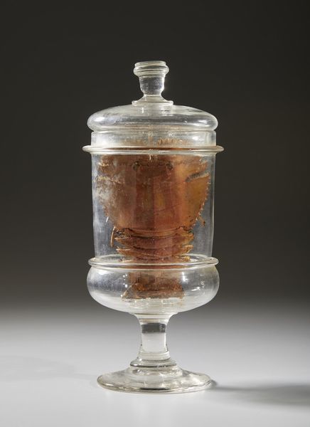 . : Cinque vasi contenenti reperti anatomici  - Asta Asta 373 | ARTE ORIENTALE E ISLAMICA - ARTE ORIENALE E WUNDERKAMMER Online - Associazione Nazionale - Case d'Asta italiane