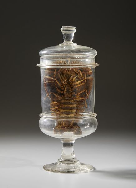 . : Cinque vasi contenenti reperti anatomici  - Asta Asta 373 | ARTE ORIENTALE E ISLAMICA - ARTE ORIENALE E WUNDERKAMMER Online - Associazione Nazionale - Case d'Asta italiane