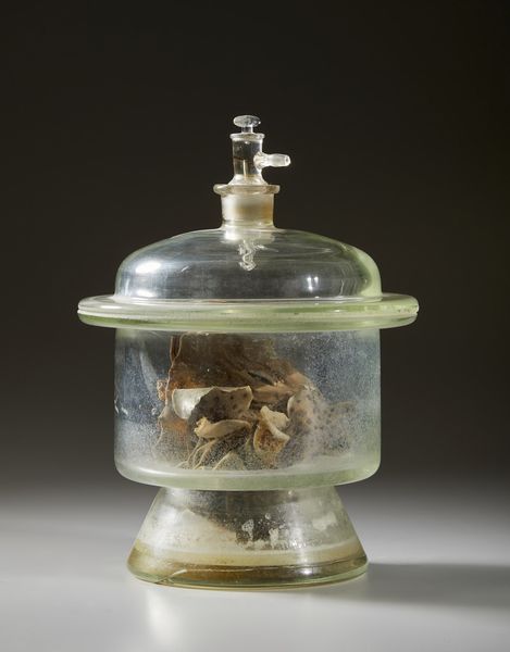 . : Cinque vasi contenenti reperti anatomici  - Asta Asta 373 | ARTE ORIENTALE E ISLAMICA - ARTE ORIENALE E WUNDERKAMMER Online - Associazione Nazionale - Case d'Asta italiane