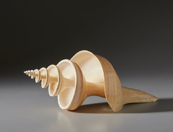 . : Grande conchiglia lavorata  - Asta Asta 373 | ARTE ORIENTALE E ISLAMICA - ARTE ORIENALE E WUNDERKAMMER Online - Associazione Nazionale - Case d'Asta italiane