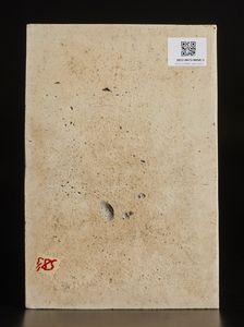 Arte Cinese : Gruppo di tre placche in porcellana famiglia rosa Cina, inizio XX secolo  - Asta Asta 373 | ARTE ORIENTALE E ISLAMICA - ARTE ORIENALE E WUNDERKAMMER Online - Associazione Nazionale - Case d'Asta italiane