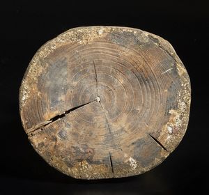 Arte Cinese : Scultura in legno raffigurante Vajradhara  Cina, XX secolo  - Asta Asta 373 | ARTE ORIENTALE E ISLAMICA - ARTE ORIENALE E WUNDERKAMMER Online - Associazione Nazionale - Case d'Asta italiane