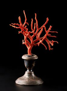. - Ramo in corallo rosso su base in argento  Italia