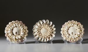 . - Tre rosoni in conchiglie