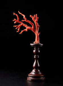 . - Piccolo ramo di corallo rosso su base in legno  Italia