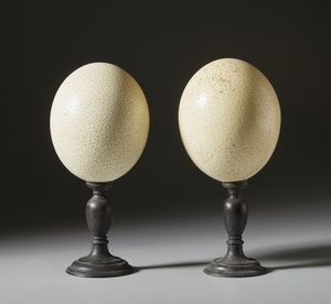 . - Due uova di  struzzo