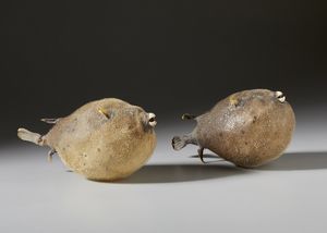 . : Coppia di pesci palla essiccati  - Asta Asta 373 | ARTE ORIENTALE E ISLAMICA - ARTE ORIENALE E WUNDERKAMMER Online - Associazione Nazionale - Case d'Asta italiane