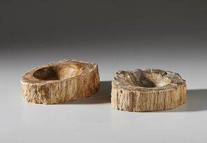 . - Posaceneri in legno fossile.