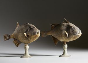 . - Coppia di pesci balestra