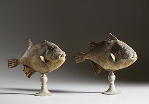 . : Coppia di pesci balestra  - Asta Asta 373 | ARTE ORIENTALE E ISLAMICA - ARTE ORIENALE E WUNDERKAMMER Online - Associazione Nazionale - Case d'Asta italiane