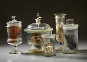 . - Cinque vasi contenenti reperti anatomici