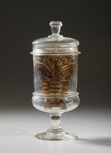 . : Cinque vasi contenenti reperti anatomici  - Asta Asta 373 | ARTE ORIENTALE E ISLAMICA - ARTE ORIENALE E WUNDERKAMMER Online - Associazione Nazionale - Case d'Asta italiane