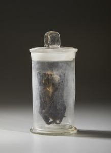 . : Cinque vasi contenenti reperti anatomici  - Asta Asta 373 | ARTE ORIENTALE E ISLAMICA - ARTE ORIENALE E WUNDERKAMMER Online - Associazione Nazionale - Case d'Asta italiane