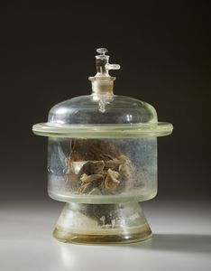 . : Cinque vasi contenenti reperti anatomici  - Asta Asta 373 | ARTE ORIENTALE E ISLAMICA - ARTE ORIENALE E WUNDERKAMMER Online - Associazione Nazionale - Case d'Asta italiane