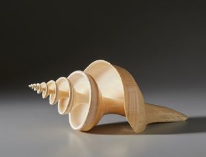 . - Grande conchiglia lavorata