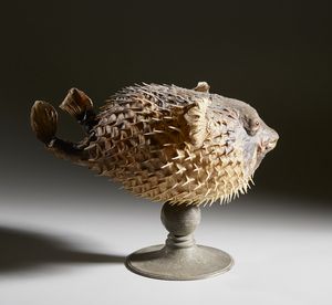 . : Pesce istrice  - Asta Asta 373 | ARTE ORIENTALE E ISLAMICA - ARTE ORIENALE E WUNDERKAMMER Online - Associazione Nazionale - Case d'Asta italiane