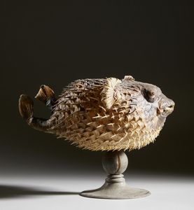 . : Pesce istrice  - Asta Asta 373 | ARTE ORIENTALE E ISLAMICA - ARTE ORIENALE E WUNDERKAMMER Online - Associazione Nazionale - Case d'Asta italiane