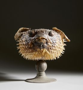 . : Pesce istrice  - Asta Asta 373 | ARTE ORIENTALE E ISLAMICA - ARTE ORIENALE E WUNDERKAMMER Online - Associazione Nazionale - Case d'Asta italiane