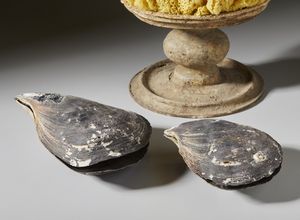 . : Spugna marina e conchiglie  - Asta Asta 373 | ARTE ORIENTALE E ISLAMICA - ARTE ORIENALE E WUNDERKAMMER Online - Associazione Nazionale - Case d'Asta italiane