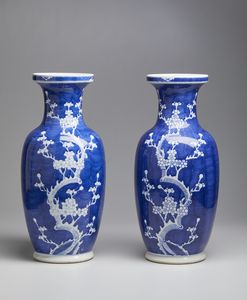 Arte Cinese - Coppia di vasi bianco-blu Cina, XX secolo