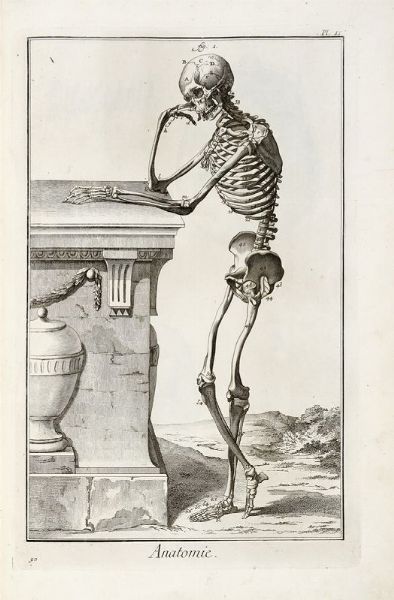 DENIS DIDEROT : Encyclopdie, ou dictionnaire raisonn des sciences, des arts et des mtiers, par une socit de gens de lettres...  - Asta 	Libri, autografi e manoscritti - Associazione Nazionale - Case d'Asta italiane