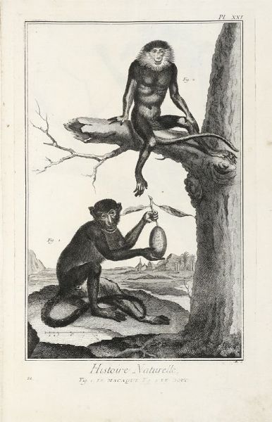 DENIS DIDEROT : Encyclopdie, ou dictionnaire raisonn des sciences, des arts et des mtiers, par une socit de gens de lettres...  - Asta 	Libri, autografi e manoscritti - Associazione Nazionale - Case d'Asta italiane