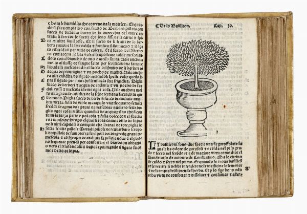 ARNALDO DE VILANOVA : Herbolario volgare, nel quale se dimostra a conoscer le herbe...  - Asta 	Libri, autografi e manoscritti - Associazione Nazionale - Case d'Asta italiane