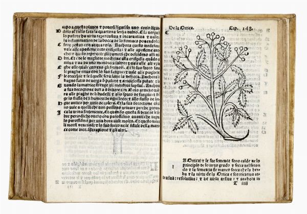 ARNALDO DE VILANOVA : Herbolario volgare, nel quale se dimostra a conoscer le herbe...  - Asta 	Libri, autografi e manoscritti - Associazione Nazionale - Case d'Asta italiane