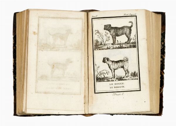 GEORGES LOUIS BUFFON : Histoire Naturelle [...] Matieres Gnrales. Tome premier (-vingt-quatrime).  - Asta 	Libri, autografi e manoscritti - Associazione Nazionale - Case d'Asta italiane