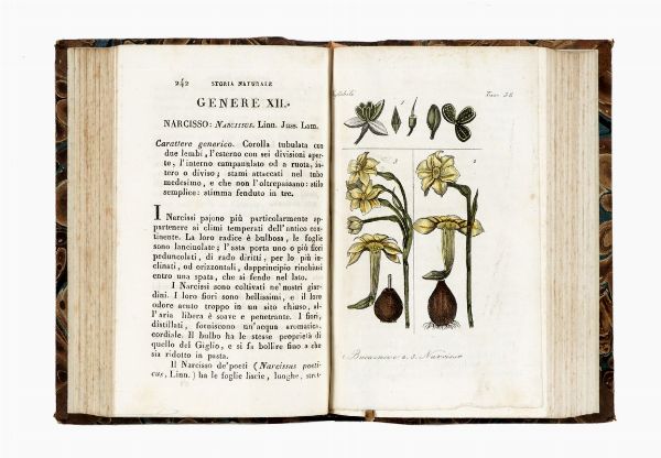 GEORGES LOUIS BUFFON : Storia naturale [...] classificata giusta il sistema di Carlo Linno da Renato Riccardo Castel... Tomo I (-XLI).  - Asta 	Libri, autografi e manoscritti - Associazione Nazionale - Case d'Asta italiane