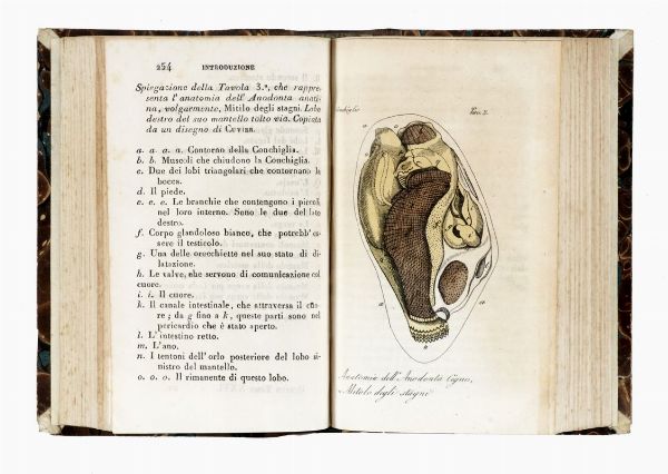 GEORGES LOUIS BUFFON : Storia naturale [...] classificata giusta il sistema di Carlo Linno da Renato Riccardo Castel... Tomo I (-XLI).  - Asta 	Libri, autografi e manoscritti - Associazione Nazionale - Case d'Asta italiane