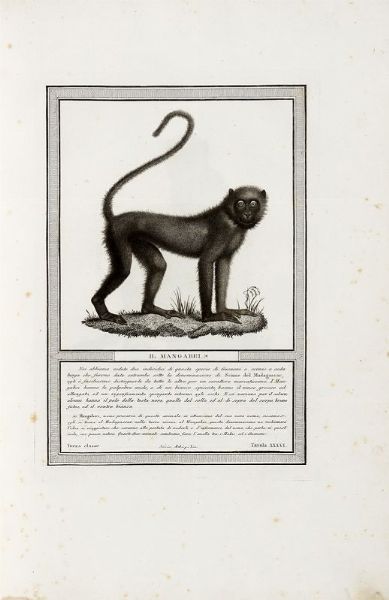NICOLAS HENRI JACOB : Storia naturale delle scimie e dei maki [...] dietro le scoperte dei pi rinomati naturalisti.  - Asta 	Libri, autografi e manoscritti - Associazione Nazionale - Case d'Asta italiane