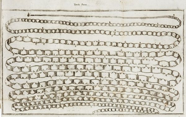 ANTONIO VALLISNERI : Considerazioni, ed esperienze [...] intorno al creduto cervello impietrito, ed alla generazione de' vermi ordinarj del corpo umano...  - Asta 	Libri, autografi e manoscritti - Associazione Nazionale - Case d'Asta italiane