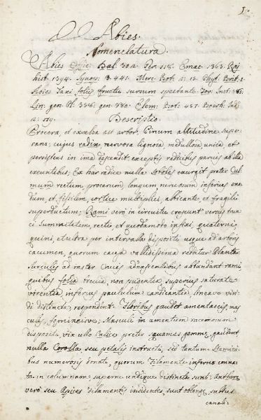 Erbario.  - Asta 	Libri, autografi e manoscritti - Associazione Nazionale - Case d'Asta italiane